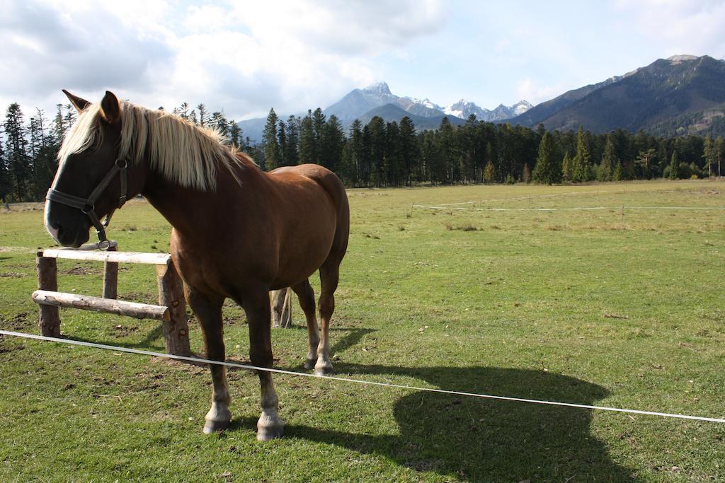 Penzion Koliba Vysoké Tatry Esterno foto