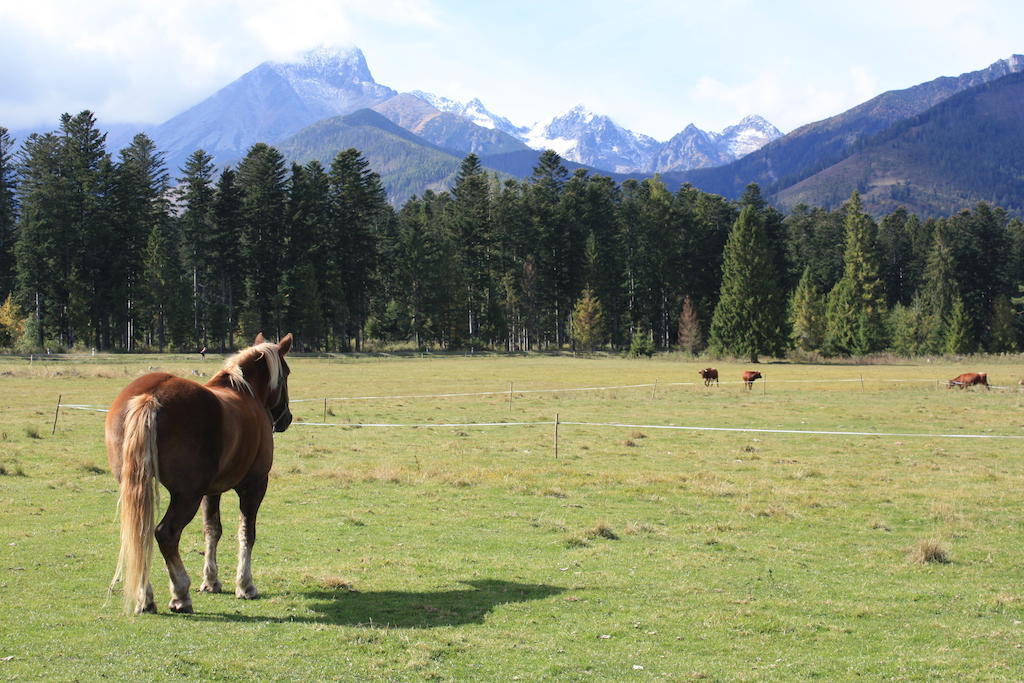 Penzion Koliba Vysoké Tatry Esterno foto
